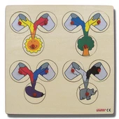 RENK KARIŞTIRMA PUZZLE (30x30 cm) - 1