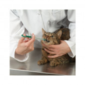 Kedi Hap Yutturma Enjektörü 2'li Set - 5