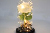 himarry Fanus Çiçek 19/10cm Cam Fanus Hediyelik Led Işıklı - 1