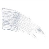 Wet N Wild Mega Clear Maskara - 3