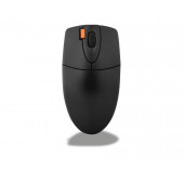 CONCORD MOUSE - 1