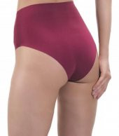 Nipora Kadın Yüksek Bel Lazer Kesim Bikini Tip Külot 3'lü 0296 - 2