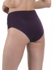 Nipora Kadın Yüksek Bel Lazer Kesim Bikini Tip Külot 3'lü 0296 - 10