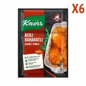 Knorr Fırında Tavuk Çeşnisi Acılı Baharatlı 31 Gram x 6 - 1