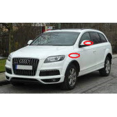 Audi Q2 Q3 Q4 Q5 Q7 Quattro Gecko Logo Çamurluk Yanı Ve Ayna Metalize Damla Desen 3M Logo Arma - 4