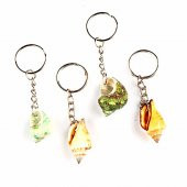 Doğal Deniz Kabuğu Anahtarlık Renkli thumbnail 1