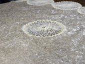 Çeyiz Diyarı Güneş Kadife 5 Parça Salon Takımı Cappucino thumbnail 3