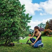 WORX WG163E.2 20Volt 2.0Ah. Li-ion 30cm Profesyonel Teleskobik Misinalı Çim ve Kenar Kesme thumbnail 5