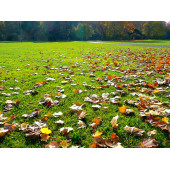 KIŞA HAZIRLIK GÜBRESİ ( 16-10-10) / 5 KG KOVA - 5