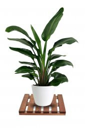 Tekerleksiz Ahşap Saksı Altlığı Damacana Tüp Saksı Sehpası 30x30 Cm - 1