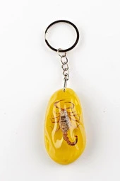 Sarı Şeffaf Reçine Anahtarlık Doğal Akrep thumbnail 2