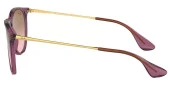 Ray-Ban RB4171 659114 54 Unisex Güneş Gözlüğü - 5