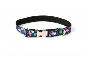 SBB-FİLAMİNGO KÖPEK TASMASI - 1