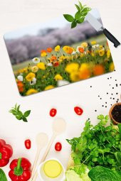 Model 193 Cam Kesme Tahtası| 30 Cm X 40 Cm thumbnail 1