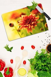 Model 200 Cam Kesme Tahtası| 30 Cm X 40 Cm thumbnail 1