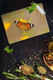 Cam Kesme Tahtası - Cam Kesme Tablası | Model 66 30 Cm X 40 Cm thumbnail 1