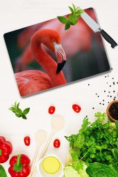 Cam Kesme Tahtası - Cam Kesme Tablası | Model 70 30 Cm X 40 Cm thumbnail 2