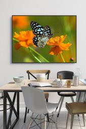 60 x 70 cm Model 60 Desenli Cam Tablo 4mm Temperli Camdır - 1