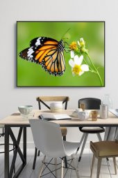 60 x 70 cm Model 67 Desenli Cam Tablo 4mm Temperli Camdır - 1