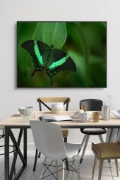 50 x 60 cm Model 59 Desenli Cam Tablo 4mm Temperli Camdır - 1