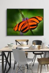 50 x 60 cm Model 68 Desenli Cam Tablo 4mm Temperli Camdır - 1