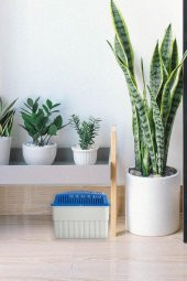 1 Kg. Dikdörtgen Nem alıcı Aparat Naturel ( 1 Kg. Tablet Dahil ) thumbnail 1