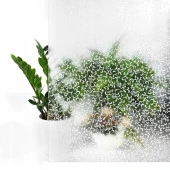 Alkor 380-0034 Sarmaşık Desen yapışkanlı Cam Folyo (45cm x 1mt) thumbnail 1