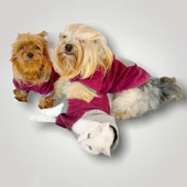 Burgundy Gray Kapşonlu Sweatshirt  Kedi Kıyafeti thumbnail 6