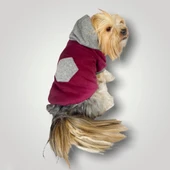 Burgundy Gray Kapşonlu Sweatshirt Köpek Kıyafeti - 1
