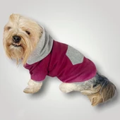 Burgundy Gray Kapşonlu Sweatshirt Köpek Kıyafeti - 2