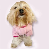 Nature Pink Oval Yaka Tişört Köpek Kıyafeti - 2