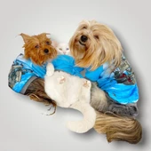 Pirate Blue Oval Yaka Tişört Köpek Kıyafeti - 8