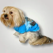 Pirate Blue Oval Yaka Tişört Köpek Kıyafeti - 2