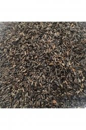 Nijer Tohumu 500 Gr Kuşlar Için Nijer Tohum Yemi Kızıştırıcı Yem - 1
