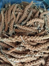 Doğal Kızıl Dal Darı Kuş Yemi 100Gr (Min:10cm-Max:20cm Uzunluk) - 1