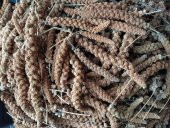 Doğal Kızıl Dal Darı Kuş Yemi 100Gr (Min:10cm-Max:20cm Uzunluk) - 2