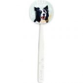Rocs Flipper Pets Hijyenik Saklama Kabı ve Yetişkin Diş Fırçası Seti (Köpek) Beyaz - 1