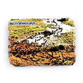 Botsvana Bufalo Temalı Kırık Magnet thumbnail 1