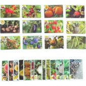 İlk 50 Meyve - Sebze Flash Cards Hafıza Kartları Lisanslı Ürün - 3