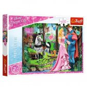 13223 Ormanda Prenses ile Buluşma 200 Parça Puzzle -Trefl Puzzle - 1