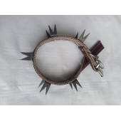 KÜÇÜK IRK ÇİFT U ÇİVİLİ DİKENLİ KORUMALI KÖPEK TASMASİ - 3