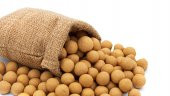 Dadak Lokum ve Kuruyemiş Çıtır Leblebi 500 Gram - 3