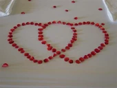 Kırmızı Gül Yaprağı Dökme Serpme Gül Yaprakları 300 Adet thumbnail 2