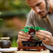 LEGO Creator Expert 10281 Bonsai Tree - 7