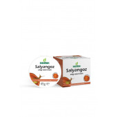 Destek Salyangoz Salgı Özlü Krem 45 g - 1