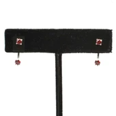 925 Ayar Gümüş Çift Taş Garnet  Taşlı Küpe thumbnail 3