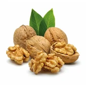 BESLENME DEDEKTİFİ Ceviz Yerli - 1