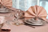 Finezza Ahsen Dantelli Etamin Bej Sofra Takımı 8 Kşl. 170x230 cm 17 Parça - 297 - 5