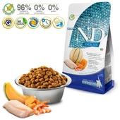 N&D Ocean Tahılsız Morina Balıklı&Balkabaklı&Karidesli Yavru Kedi Maması 1.5 Kg - 2