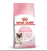 Royal Canin Babycat Anne-Bebek Sütlü Yavru Kedi Maması 2 Kg - 1